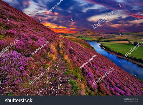 Colorful Landscape Scenery Footpath Through Hill Stock Photo 215824072
