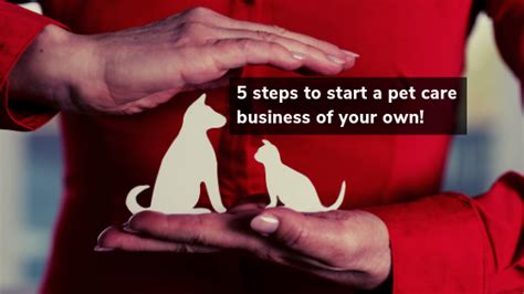 5 Important Steps To Start A Successful Pet Care Business Of Your Own