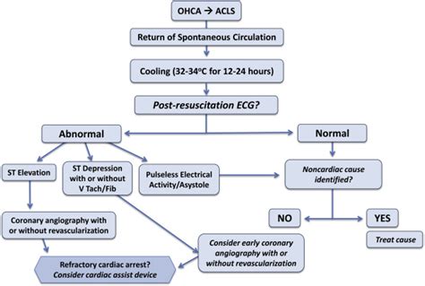 Out Of Hospital Cardiac Arrest And Acute Coronary Syndromes Reviewing