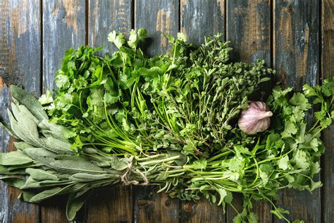 How To Dry Fresh Herbs To Better Homes And Gardens