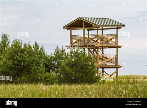 Bird Watching Tower Stock Photo Alamy