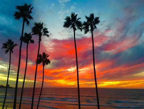 5 Perfect Spots To Watch The Sunset In La Jolla