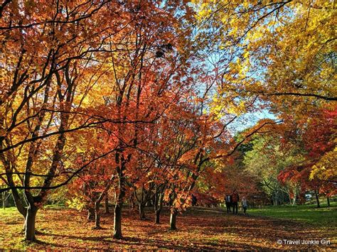 Best Places To See Autumn Colour In The Uk Travel Junkie Girl