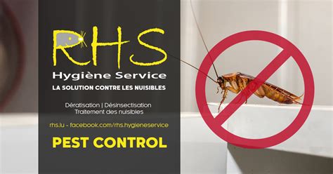 Rhs Hygiène Service Pest Control Cafardsblattes Désinsectisation Et
