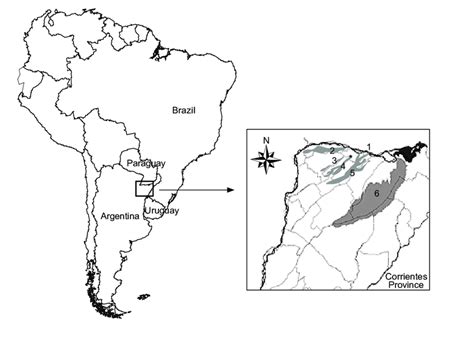 Map Of South America Showing The Location Of Corrientes Province