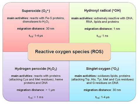 Frontiers The Significance Of Reactive Oxygen Species And Antioxidant