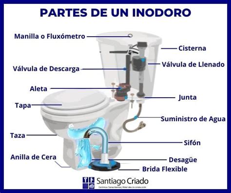 Tipos De Inodoros Descubre El Sanitario Idóndeo Para Tu Hogar O Negocio