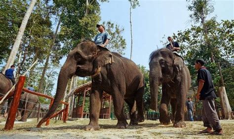 Ini telah ditemui dengan mengagregatkan semua. 12 Fasiliti Taman Negara Termasuk FRIM & Pusat Konservasi ...
