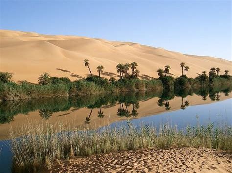 The Africa Beneath The Sahara Desert Picture Of An Oasis In The Sahara