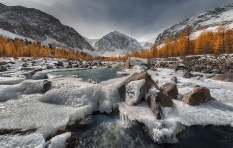 Wallpaper Autumn Trees Mountains River Stones Ice Russia Altay