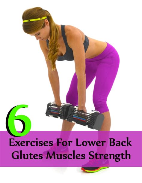 Pulling a muscle in the low back, overuse, poor posture, improper lifting technique and excessive sitting. 6 Exercises For Lower Back Glutes Muscles Strength | BodyBuilding eStore