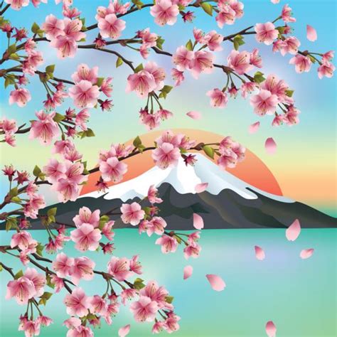 Best Japanese Cherry Blossom Illustrations Royalty Free Vector