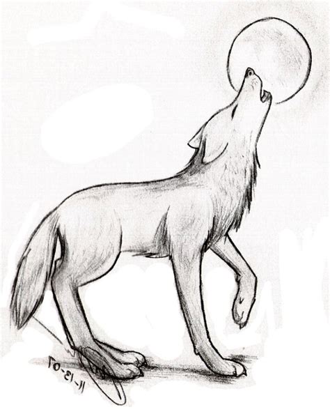 Wolf Love Drawings At Explore Collection Of Wolf Love Drawings