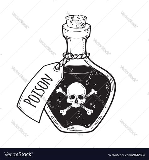 Poison In Bottle Line Art And Dot Work Hand Drawn Vector Image