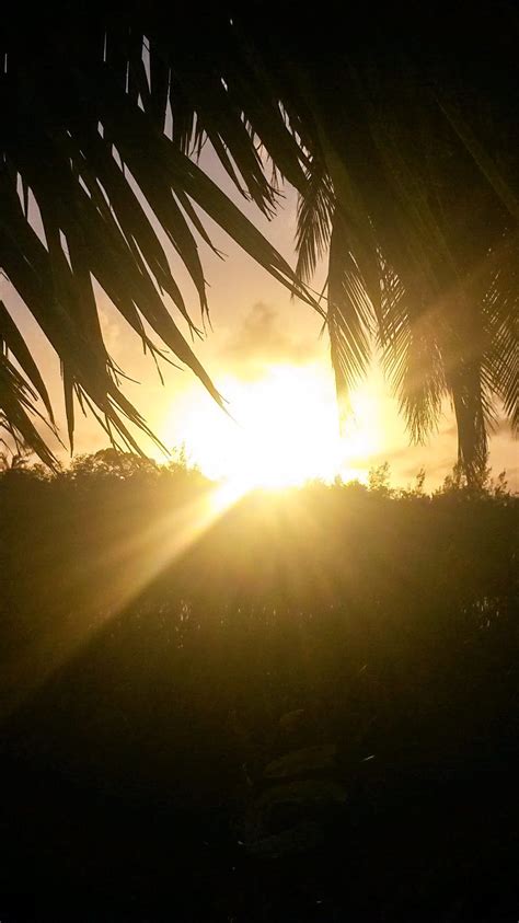 Pin by Bahamajack on Sunrise & Sunset | Pictures, Sunrise sunset ...