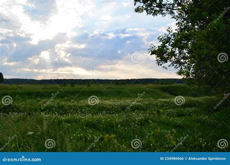Field In The Early Morning Stock Photo Image Of Agriculture