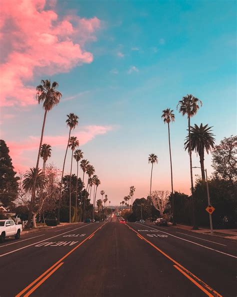 Colourful Sky And Palm Trees At Los Angeles California