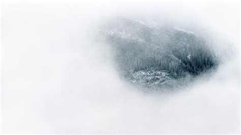 Free Images Forest Snow Cloud Fog Mist Wave Frost Weather