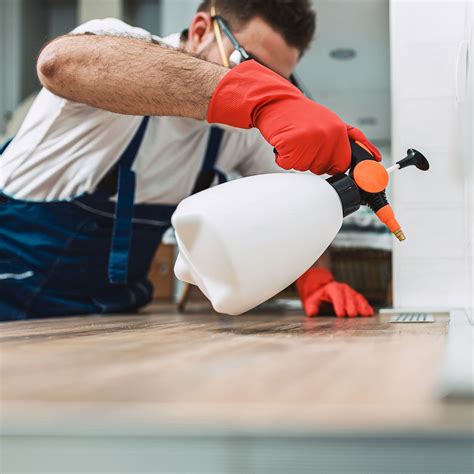 Which Home Improvement And Maintenance Services Are The Most Popular