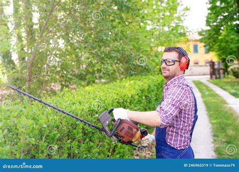 One Man Working In Garden And Shaping Bush Using Hedge Trimmer Stock Image Image Of Clippers