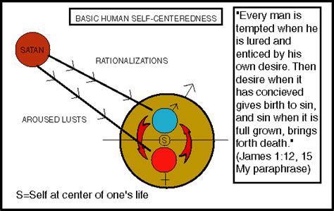 Get detailed research report on plant based meat market by marketsandmarkets. efidlimar: plant cell diagram to label