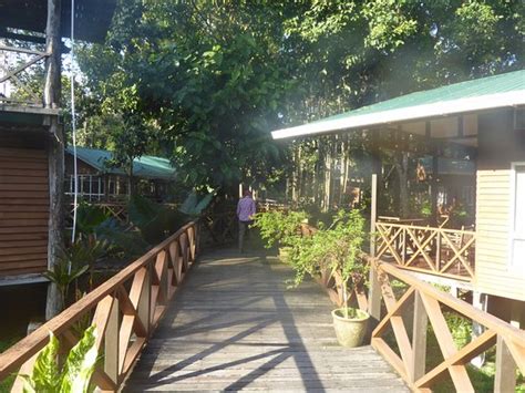 Balin roof garden bar & bistro, english tea house & restaurant a harbour bistro cafe. Borneo Nature Lodge - UPDATED 2017 Prices, Reviews ...