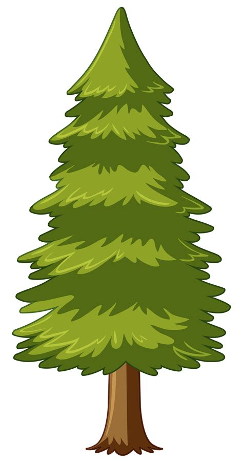 Don't forget to link to this page for attribution! Pine tree on white background - Download Free Vectors ...
