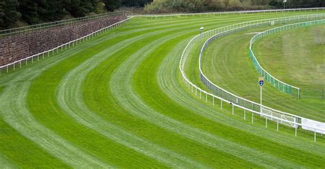 Horse Racing Track And Ground Types Turf Dirt And
