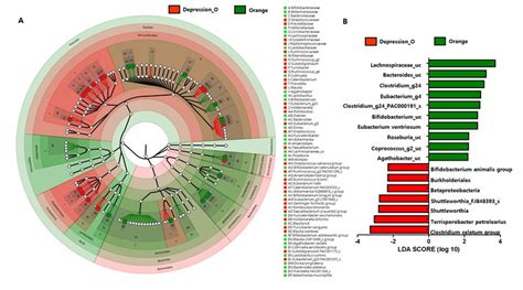 Alpha Diversity Index Of The Gut Microbiota In The Depression And
