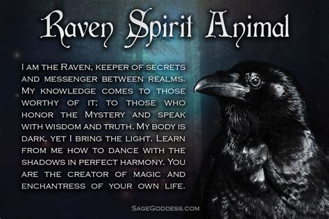 Pin By Cat Moonraven On Spirit Animals ☽ ☾ Crow Spirit Animal Raven