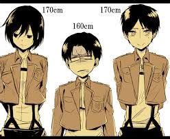 image result  levi ackerman age  height attack  titan funny