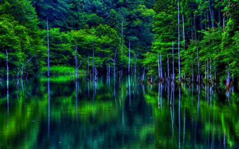 Hd River Reflections Wallpaper Download Free 80055