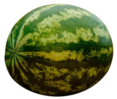 Watermelon clipart texture, Watermelon texture Transparent FREE for ...