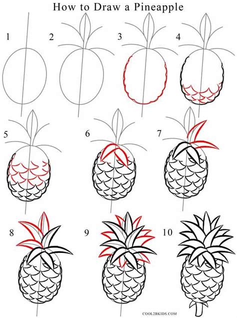 Draw the whole state of the head first. I am obsessed with pineapples! … | crafts in 2019…