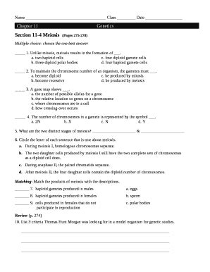 Meiosis is composed of two rounds of cell division, namely meiosis i & meiosis ii. Section 11 4 Meiosis Worksheet Answers / Essential Biology 4 2 10 1 Meiosis Core Ahl / Learn ...
