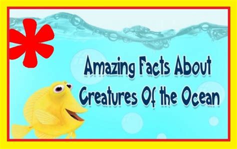 Infographic Amazing Facts About Creatures Of The Ocean Maritimecyprus