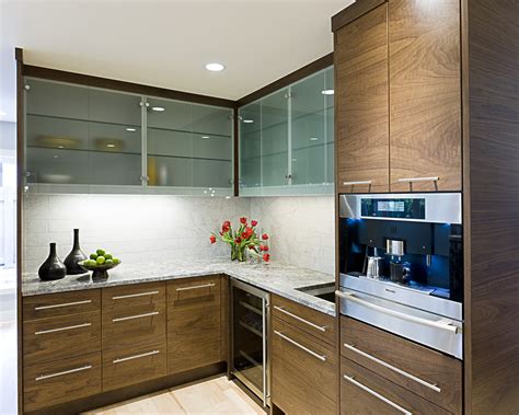 Kitchen Cabinets With Frosted Glass Doors Wow Blog