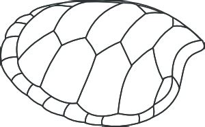 Valessiobrito Hoof Of Green Turtle Clip Art | Turtle clip art, Turtle shell, Turtle shell drawing