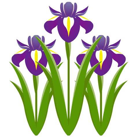 Download 3月の花 のアルバム Images For Free