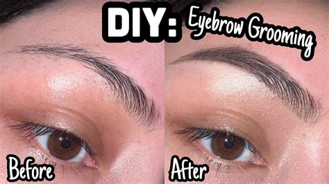 Diy How To Groom Your Eyebrows Natural Eyebrows Youtube