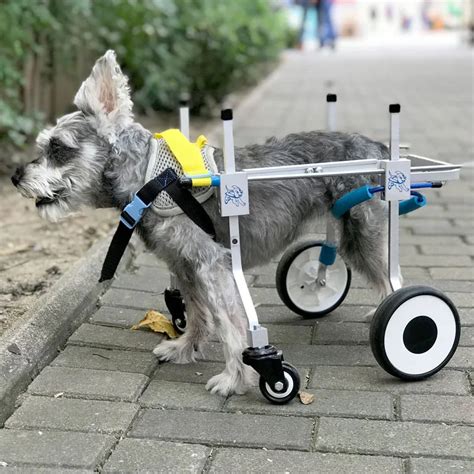 Four Wheels Adjustable Dog Wheelchair Fore Leg Rehabilitation Cart
