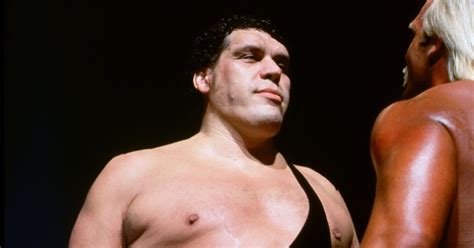 Andre has never been an easy character to describe. 100 beers in 45 minutes? Andre the Giant's inconceivable ...