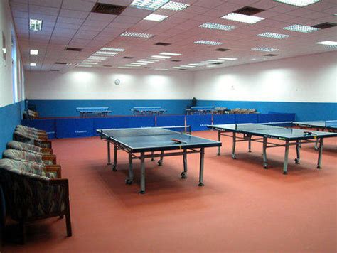 Entdecke die neusten kollektionen und modelle! Table Tennis Court Flooring at Rs 75/square feet | Sports ...