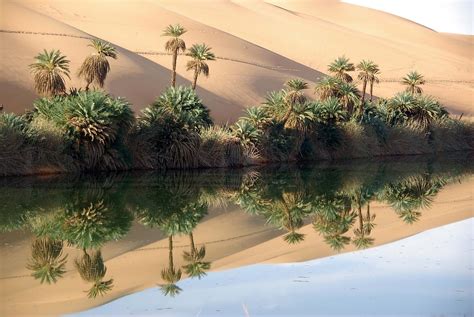 Can A Desert Turn Into A Forest Worldatlas