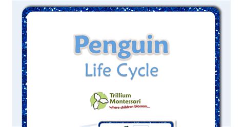 Life Cycles Penguin By Trillium Montessoripdf Life Cycles Penguin