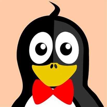 Penguin Face Clipart Vector Jokes Bow Inkscape