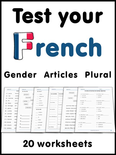 French Test Yourself Gender Articles Plural Learn French French Nouns French Worksheets