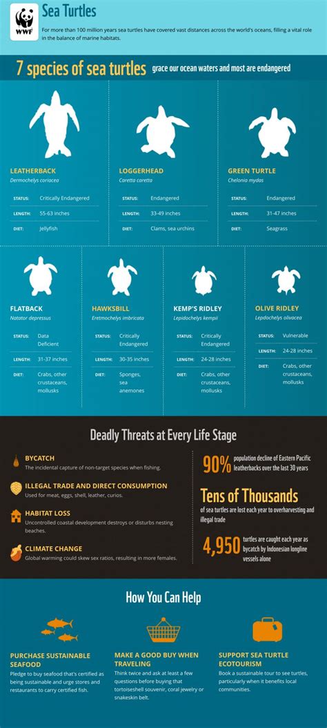 It's recommended you make the image 6 inches wide by 14 inches tall to get started. 10 Nonprofit Infographics That Inspire And Inform | Classy