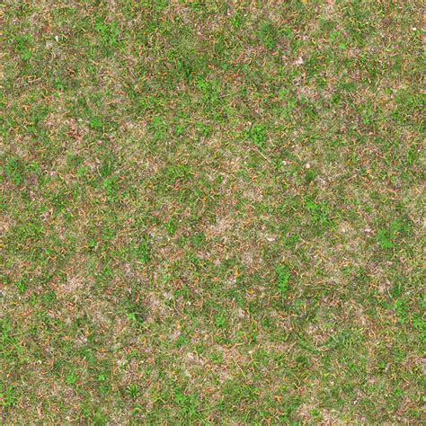 Texture Jpeg Ground Grass Seamless