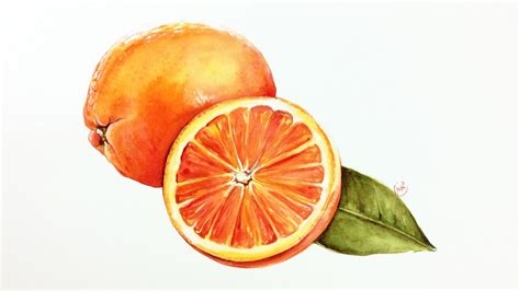 Drawingforall greets you on its pages with a new drawing tutorial! Watercolor Oranges Painting Demonstration - YouTube
